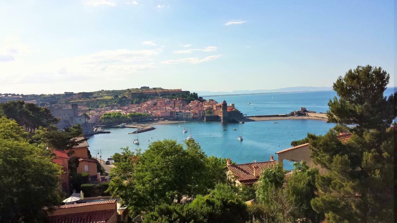 4Amb2 Villa De Caractere Avec Piscine Collective Collioure Exterior photo